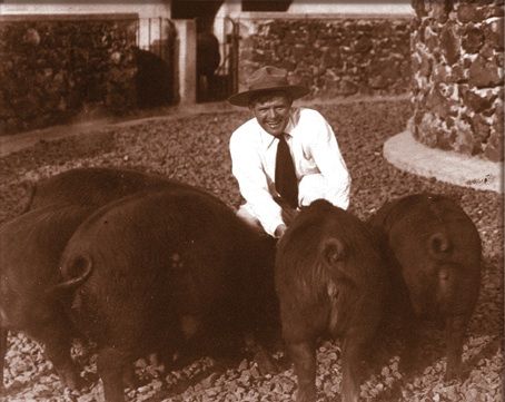 Jack London with pigs.