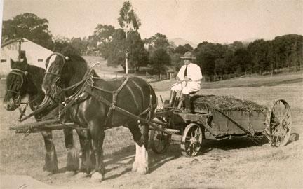 Jack on horsedrawn wagon