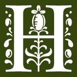 The letter H